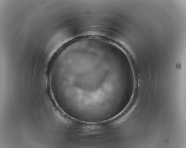 X0000092071117200709191157