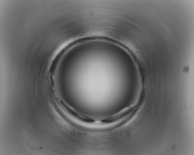 X0000092071118200709191157