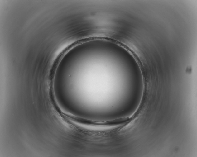 X0000092071119200709191157