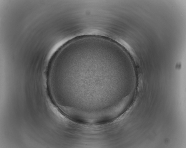 X0000092071120200709191157