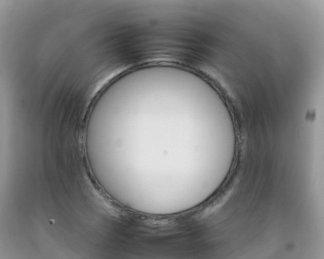 X0000092071121200709191157