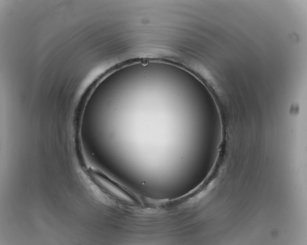 X0000092071122200709191158