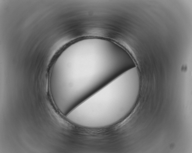 X0000092071123200709191158