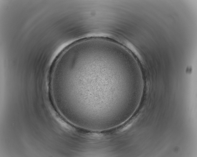 X0000092071124200709191158
