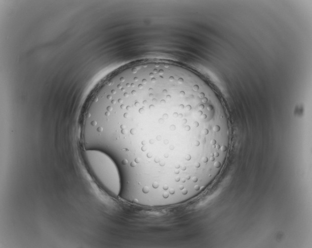 X0000092071125200709191158