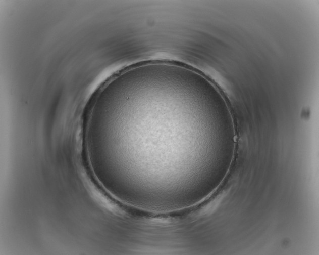 X0000092071126200709191158