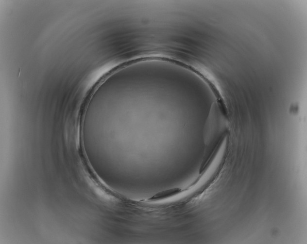 X0000092071127200709191158
