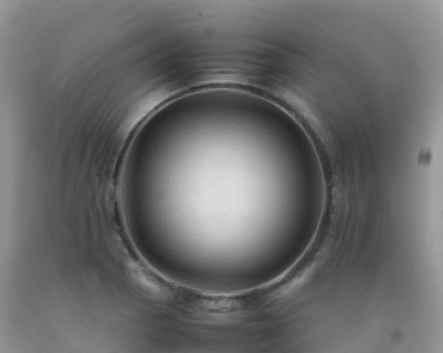 X0000092071129200709191158