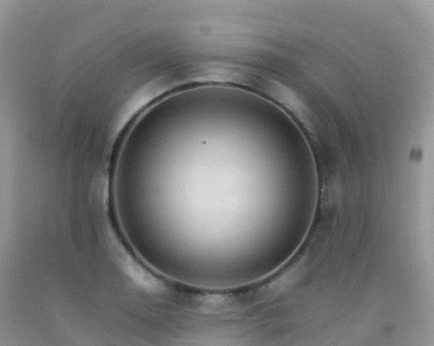 X0000092071130200709191158