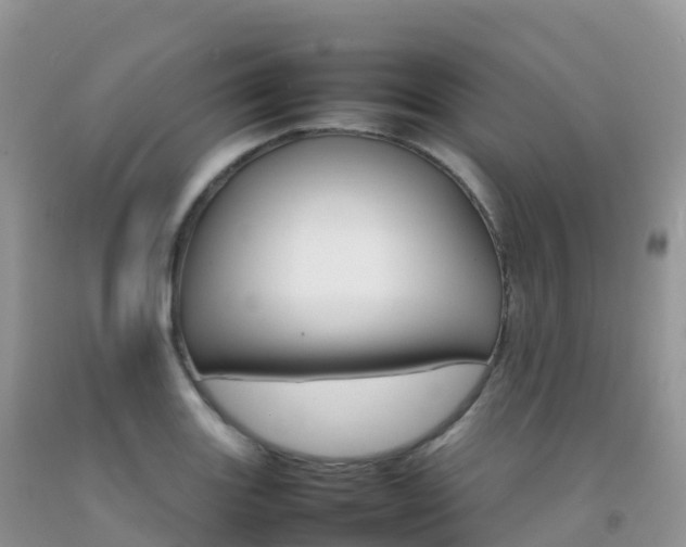 X0000092071131200709191158