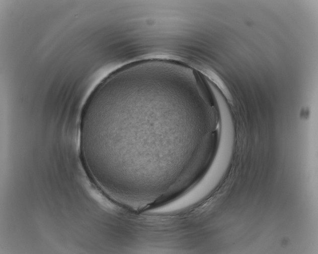 X0000092071132200709191158