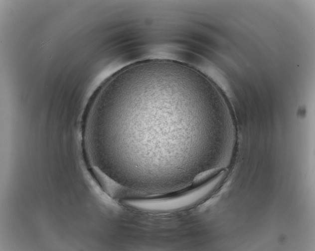 X0000092071133200709191158