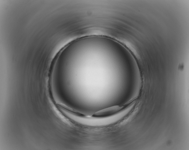 X0000092071134200709191158
