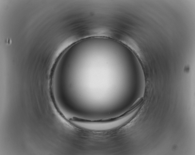 X0000092071135200709191158