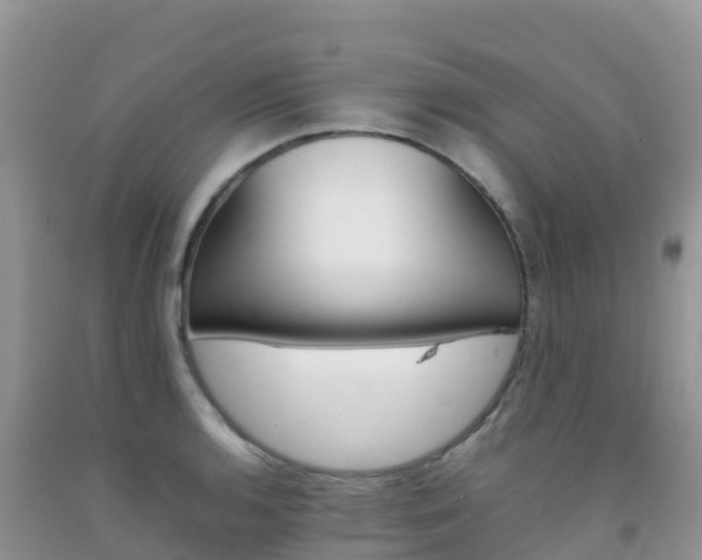 X0000092071136200709191158