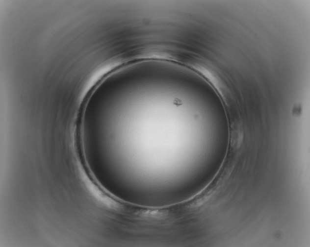 X0000092071139200709191158