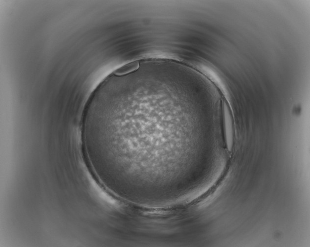X0000092071141200709191158