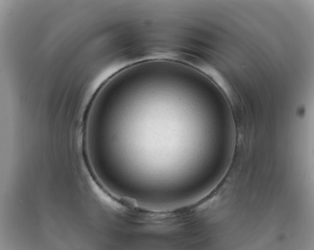 X0000092071143200709191158