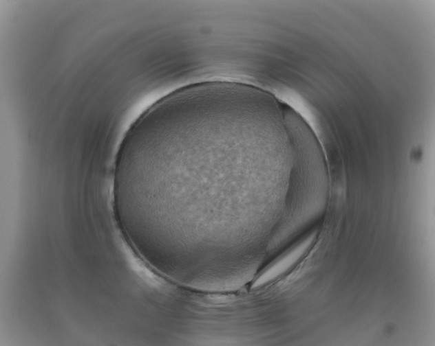 X0000092071144200709191158