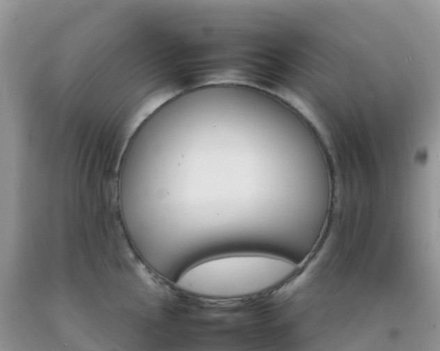 X0000092071145200709191158