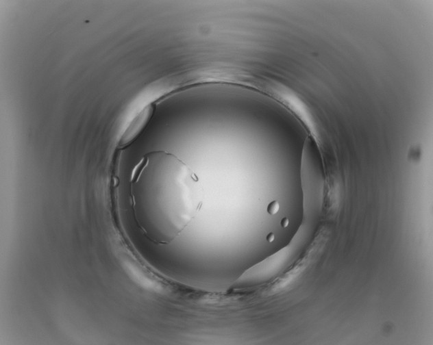 X0000092071146200709191158