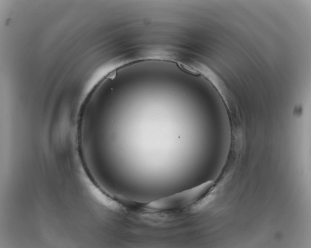 X0000092071147200709191158