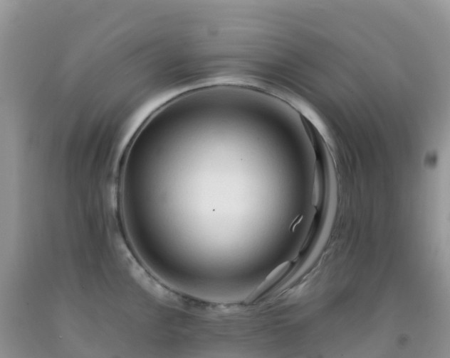 X0000092071148200709191158