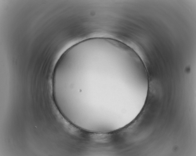 X0000092071150200709191158