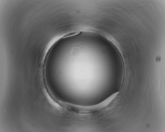 X0000092071152200709191158