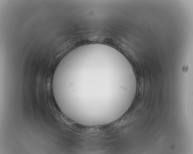 X0000092071154200709191157