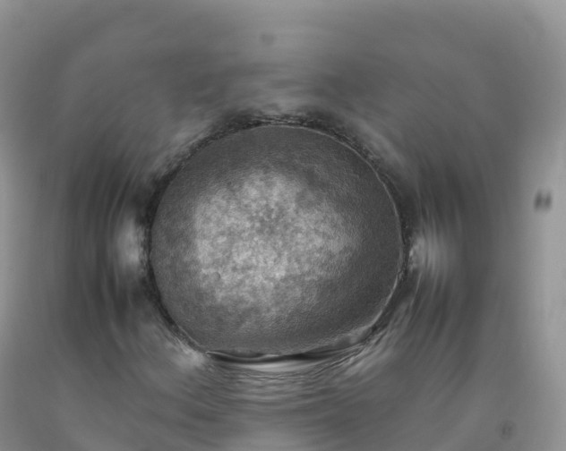 X0000092071156200709191157