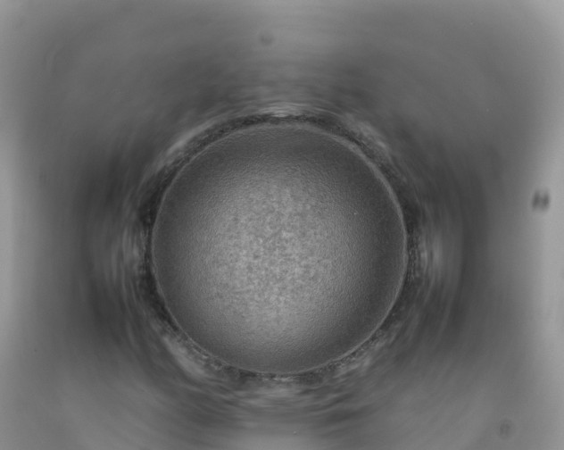 X0000092071158200709191157
