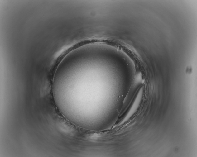 X0000092071160200709191157