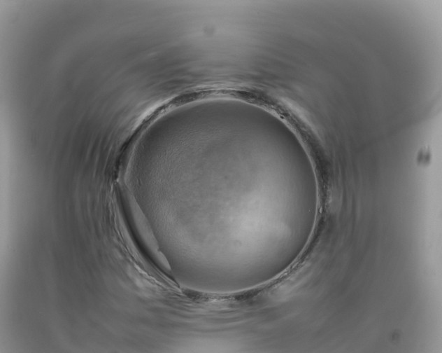 X0000092071161200709191157
