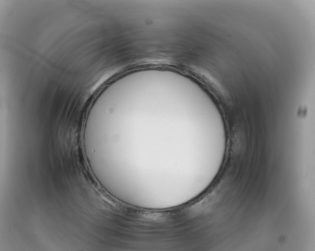 X0000092071162200709191157