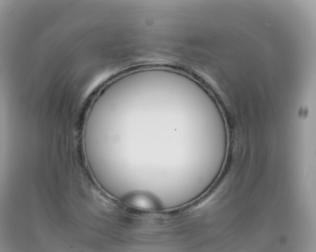 X0000092071163200709191157