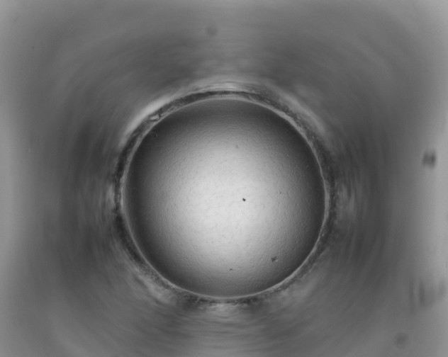 X0000092071166200709191157