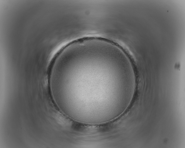 X0000092071167200709191157