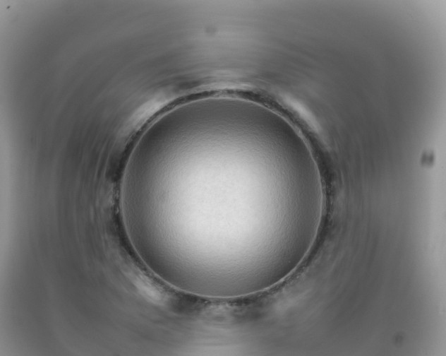 X0000092071169200709191157