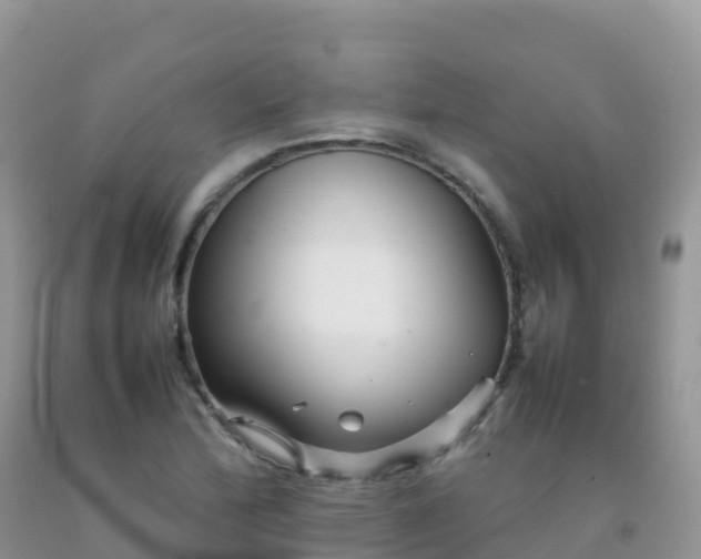X0000092071172200709191157