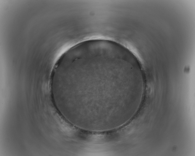 X0000092071173200709191157