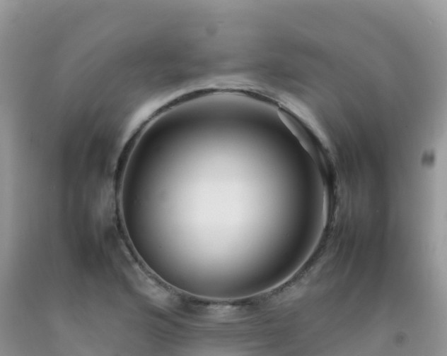 X0000092071176200709191157