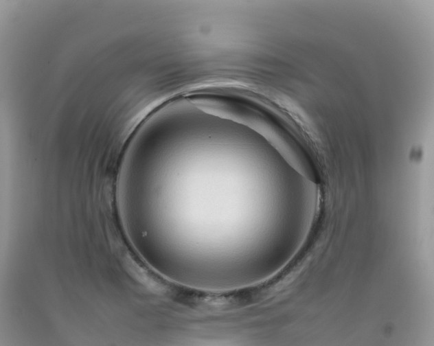 X0000092071177200709191157