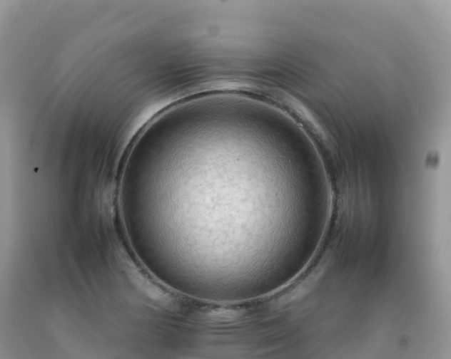 X0000092071178200709191157