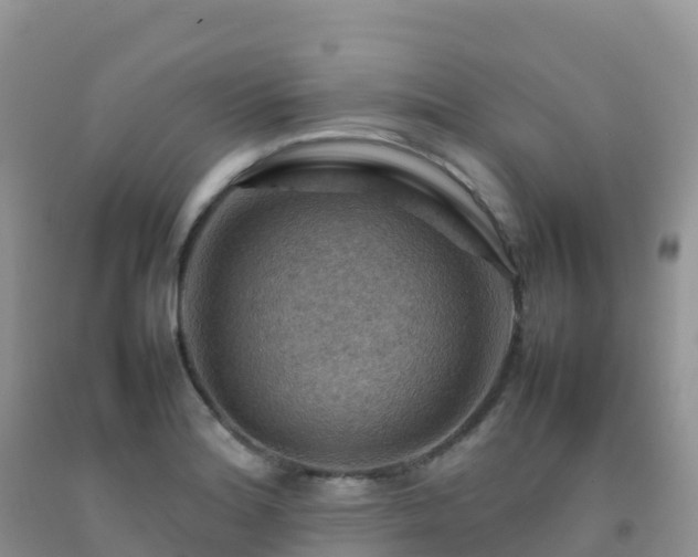 X0000092071180200709191157