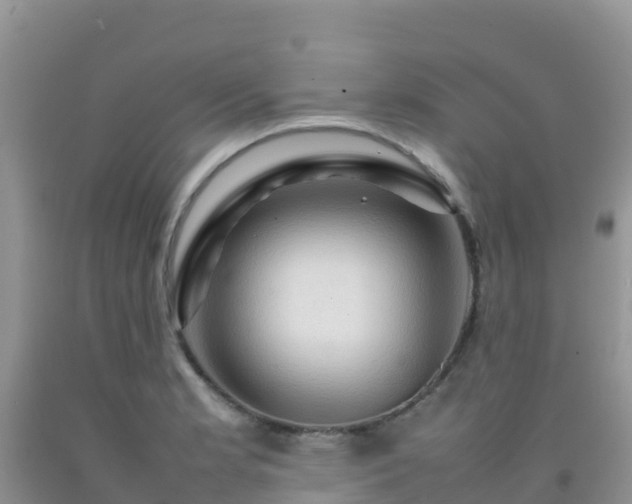 X0000092071181200709191157