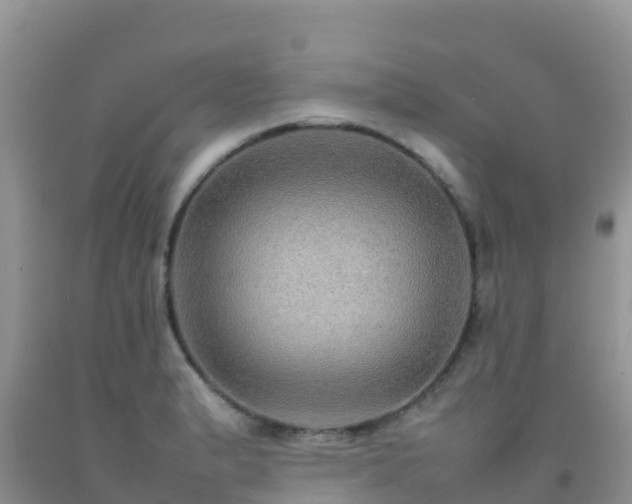 X0000092071183200709191157