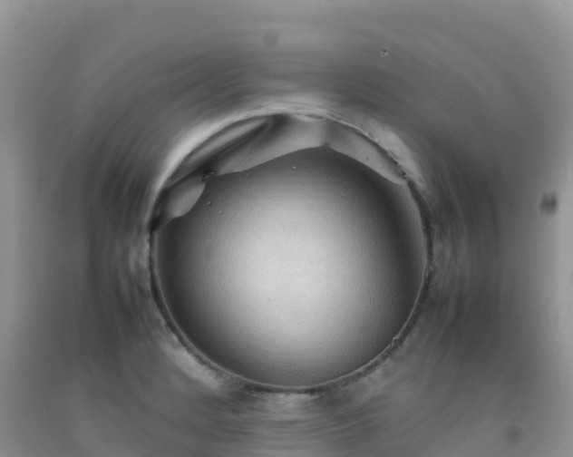 X0000092071184200709191157