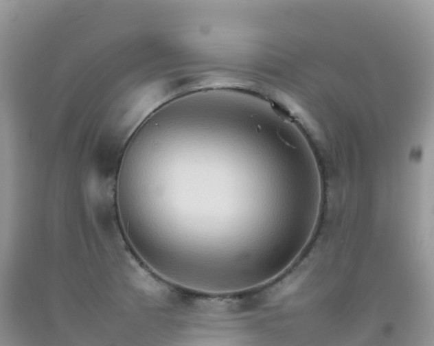 X0000092071185200709191157