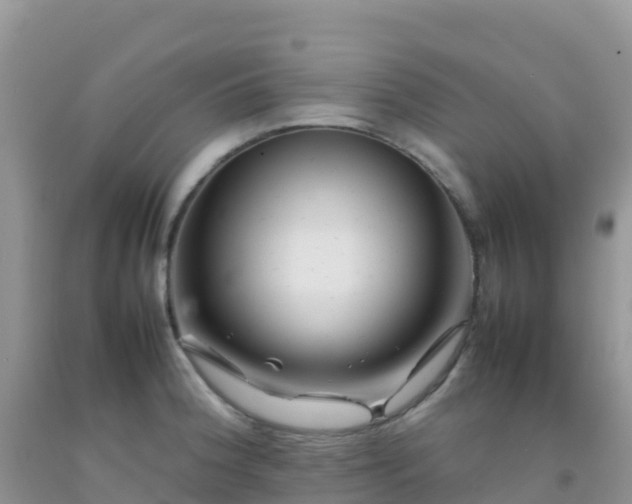 X0000092071188200709191156